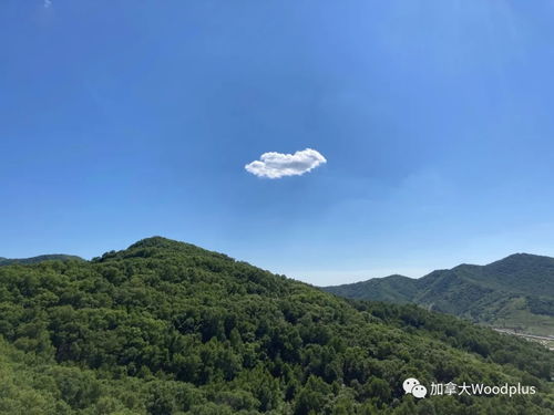 海坨山國(guó)際旅游度假區(qū)木屋翻新項(xiàng)目