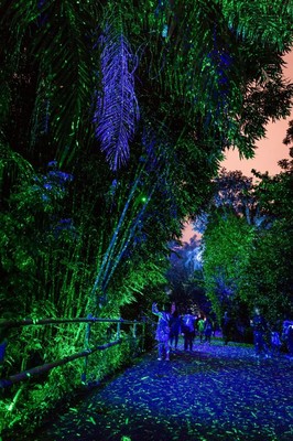 夜間旅游產(chǎn)品是景區(qū)發(fā)展的新藍(lán)海!《中國旅游景區(qū)發(fā)展報告(2020)》發(fā)布