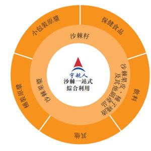 全球最大沙棘產品供應商宇航人赴港ipo,業績高度依賴海外市場
