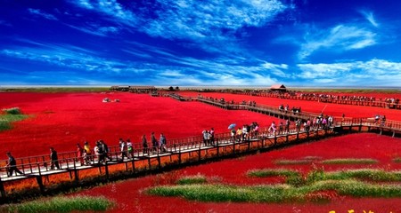 盤錦興隆臺旅行社 盤錦興隆臺旅行社電話號碼